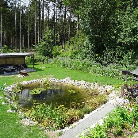 Sammy'S Fewo Goslar Eksteriør bilde